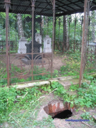  : IMG_7373_resize_resize.JPG