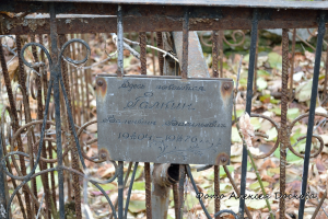  : DSC_3404.JPG