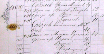  : _1873.jpg