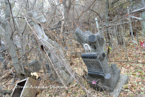  : DSC_3460.JPG