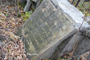  : DSC_3599.JPG