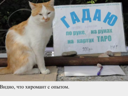  : 18735A0A-CD41-4618-8E59-D700E093F8B2.png