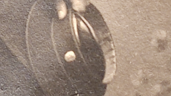  : IMG_20220116_221542.jpg