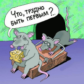 : shutki-pro-myshej-2.jpg