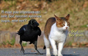  : 1 .jpg