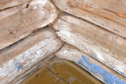 DSCF8881.JPG, 124944 