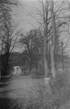 10.  1964.jpg, 31169 