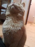4.jpg, 224104 ����