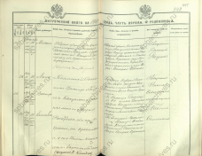  : 1910-.19 .127 .2391 .jpg