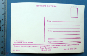 43357065.1.jpg, 312279 