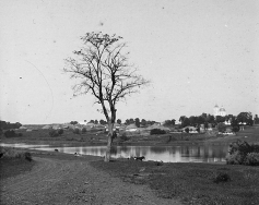 13.jpg, 231924 