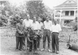 1971.jpg, 91777 