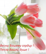  : mDsEl_X6boE.jpg