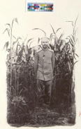 2.jpg, 34501 