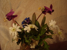  : DSC01409.JPG