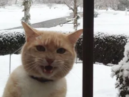  : 528666FF-94AC-4F3C-B95A-B8B5D29796D4.png