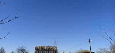  : IMG_20220322_104249_1.jpg