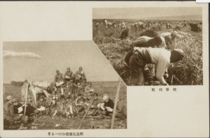 35351475_m.png, 307185 