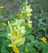  : DSC01434.JPG