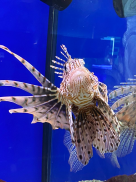 14.jpeg, 130295 