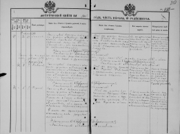 8.     . 1902.jpg, 1716372 