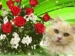  : E5A82F79-ABB3-4070-9F4A-B4C8734E8E18.png