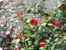  : 01.05.2011 026.jpg
