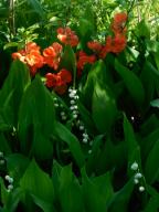  : DSCN6192-1.jpg