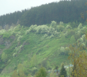  : DSC02993.JPG