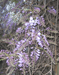  : 14.05.2011 061.jpg