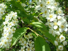  : DSC02767.JPG