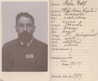  : Volf Melin.jpg