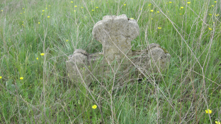   2009 005.jpg, 799802 
