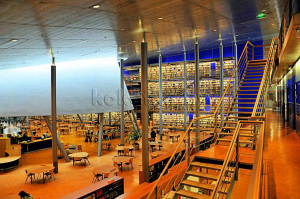 samye-krasivye-biblioteki-mira.jpg, 135675 