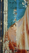 5.jpg, 310458 