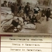  1.jpg, 88877 