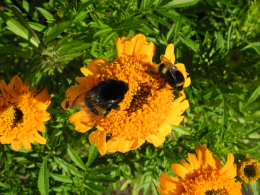 DSCN1258.JPG, 2351347 