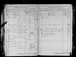 record-image_ (30).jpg, 959654 