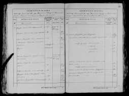 record-image_ (25).jpg, 932591 