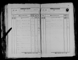 record-image_ (22).jpg, 1228249 