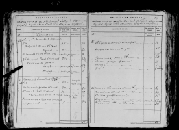 record-image_ (8).jpg, 1058287 