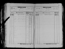 record-image_ (1).jpg, 1217829 