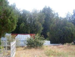  : Junkoy old cemetery.jpg