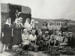  : IMG_20191028_151451.jpg