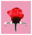  : !.gif