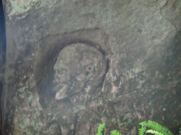 6.  1.JPG, 211890 