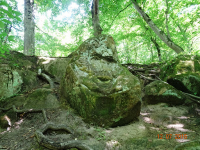 DSC04980.JPG, 72986 
