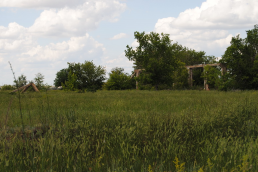  : DSC_0018_ .JPG