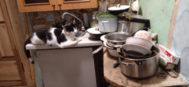  : IMG_20220720_090754.jpg