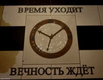  : 3930313.jpg